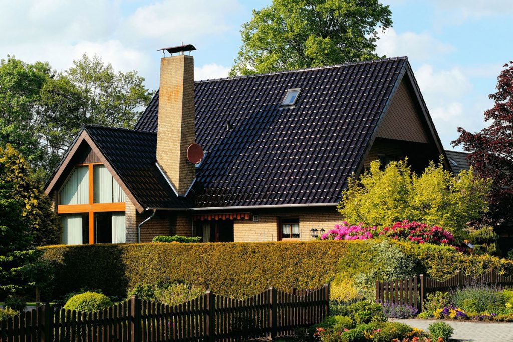 Eine immergrüne Hecke kaufen